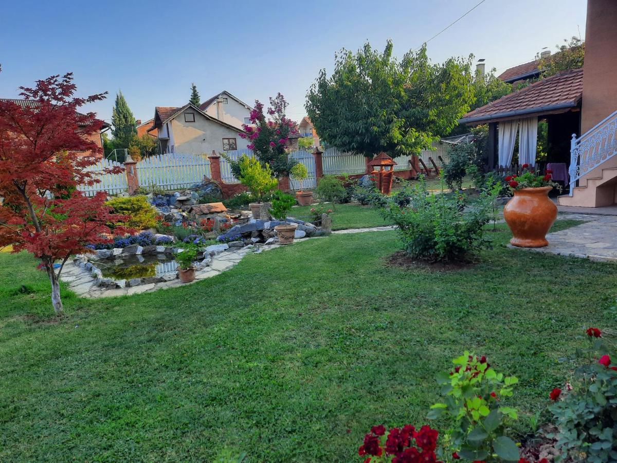 Guest House Rose Smederevska Palanka 外观 照片