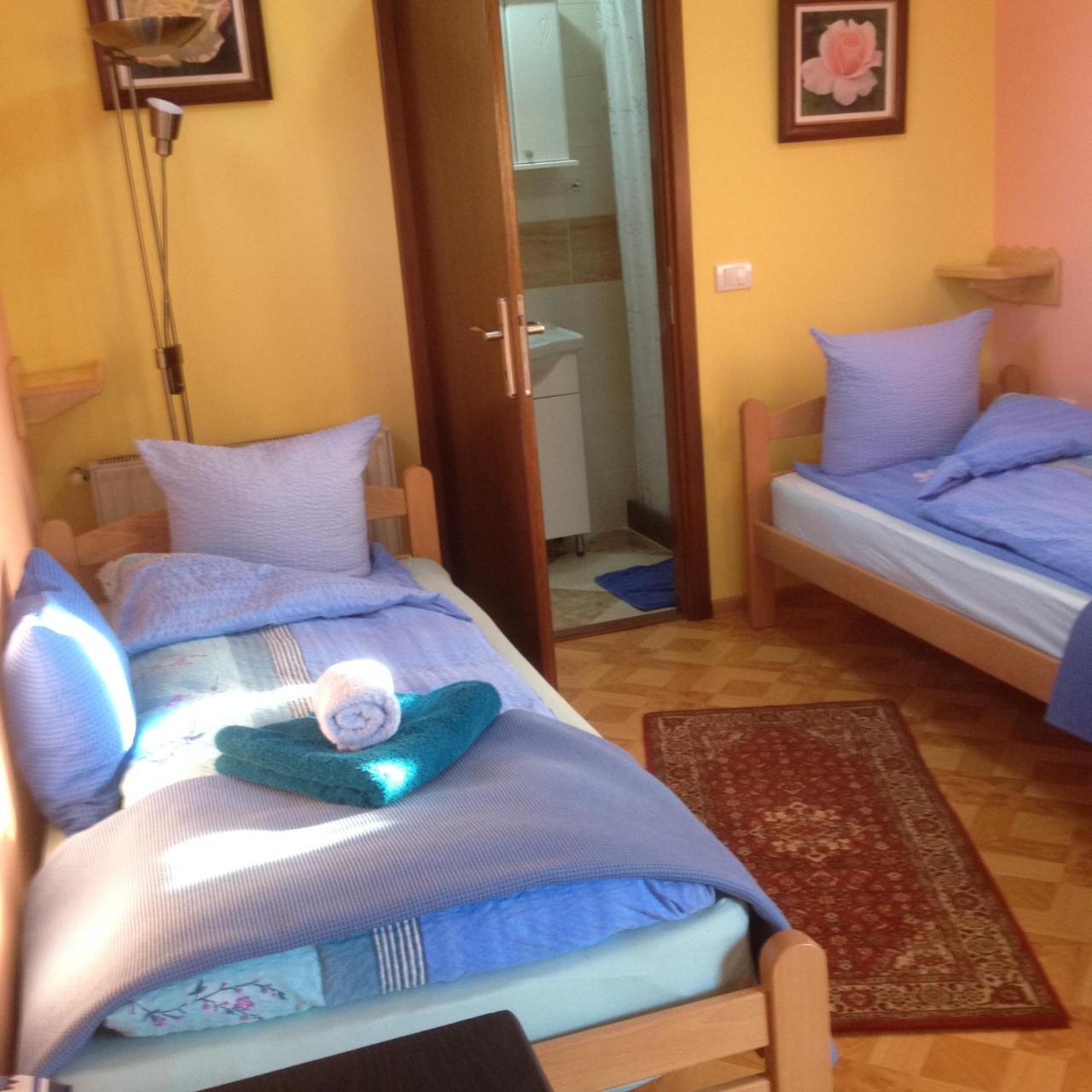 Guest House Rose Smederevska Palanka 外观 照片